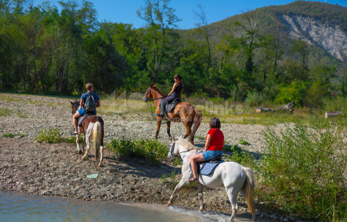 Конные прогулки