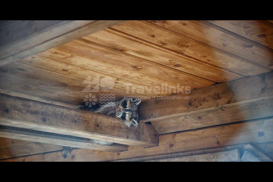 Галерея Сафари-парк Геленджик #0