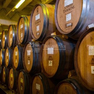 Галерея Тур в Шато-Тамань #3