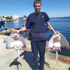 Галерея Морская рыбалка на яхте, катере #0