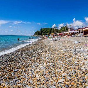 Галерея Лоо #0