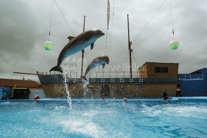 Дельфинарий в Архипо-Осиповке