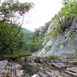 Галерея Шапсуга и Ромашковые бугры #2