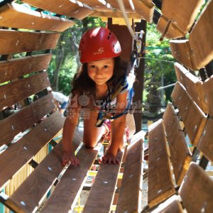 Галерея Храброе сердце #3