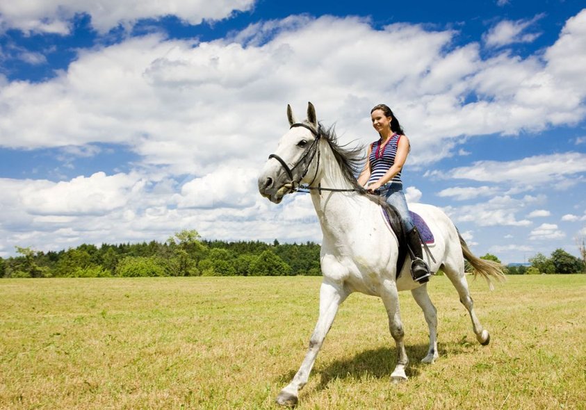 Галерея Конные прогулки в Прасковеевке #1