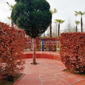 Галерея Краснодар и парк Галицкого #3