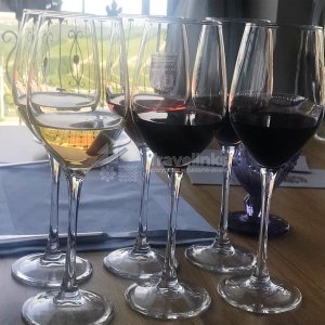 Галерея Один день по винодельням #4