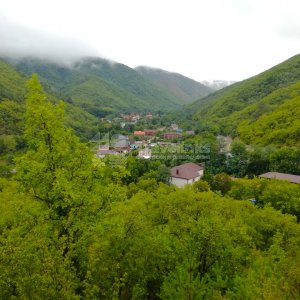 Галерея Прасковеевка #3