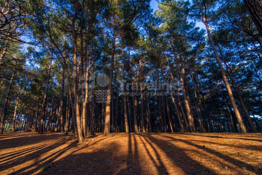 Галерея Голубая бездна #2