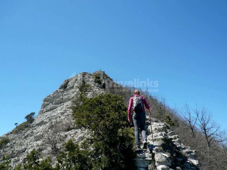 Галерея Гора Папай #0