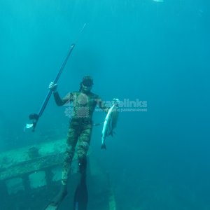 Подводная охота