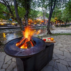 Галерея Ягода Малина #3