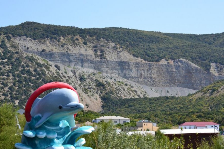 Галерея Дельфинарий Большого Утриша #0