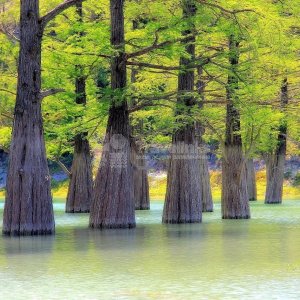 Галерея Сукко #6