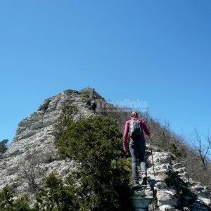 Галерея Гора Папай #0