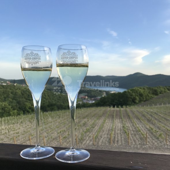 Галерея Авторская VIP-экскурсия в Абрау-Дюрсо #1