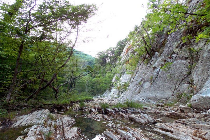 Галерея Шапсуга и Ромашковые бугры #2