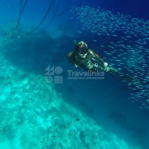 Галерея Фридайвинг #0