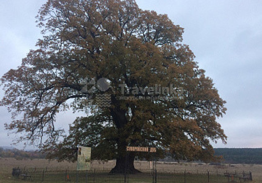 Галерея Белая скала + мыс Хамелеон/ парк Львов #0