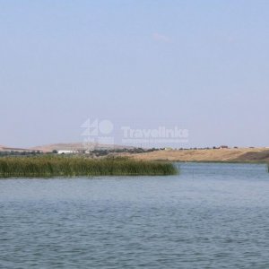 Галерея Ахтанизовский лиман и Долина лотосов #3