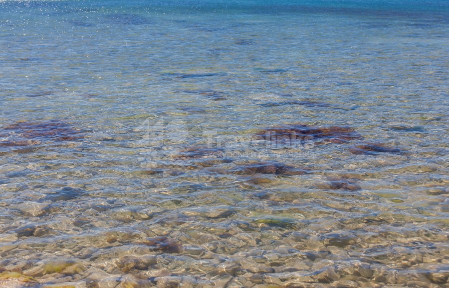 Галерея Дикий пляж «Круча» #3