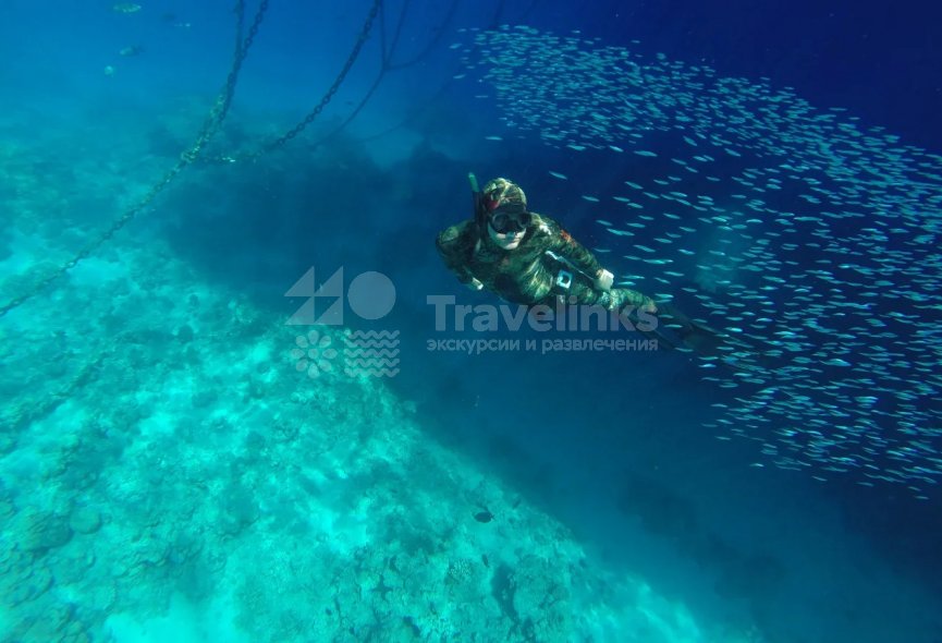 Галерея Фридайвинг #0