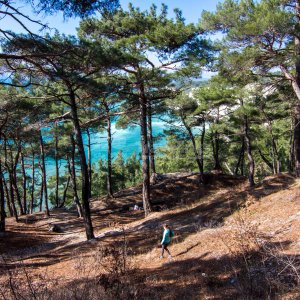 Галерея Голубая бездна #0