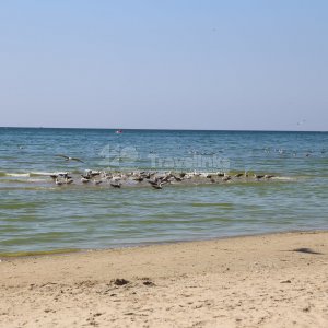 Галерея Родник #0