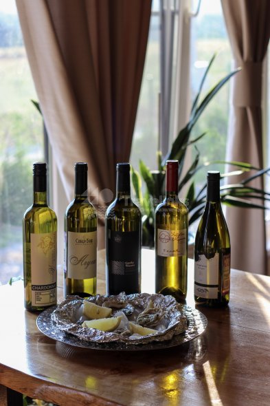 Галерея Экскурсия в «Марьину усадьбу» #6