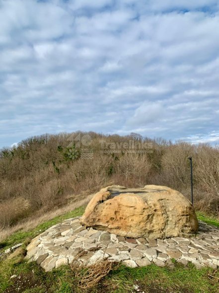 Галерея Крест, Пуп земли и Чайная полка #2