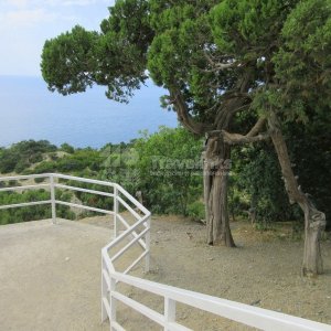 Галерея Сукко #5