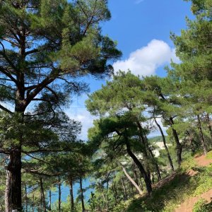 Терренкур в Голубую бездну