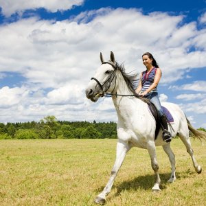 Галерея Конные прогулки в Прасковеевке #1