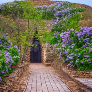 Галерея Керчь #1