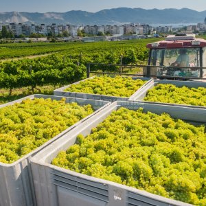 Галерея Один день по винодельням #2