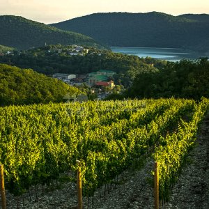 Галерея Вечерний Абрау-Дюрсо #2