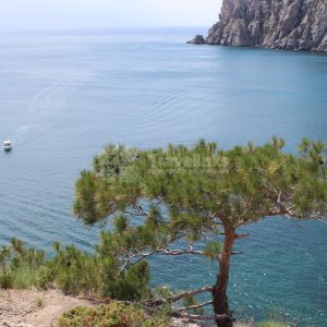 Можжевеловая роща Кабардинки