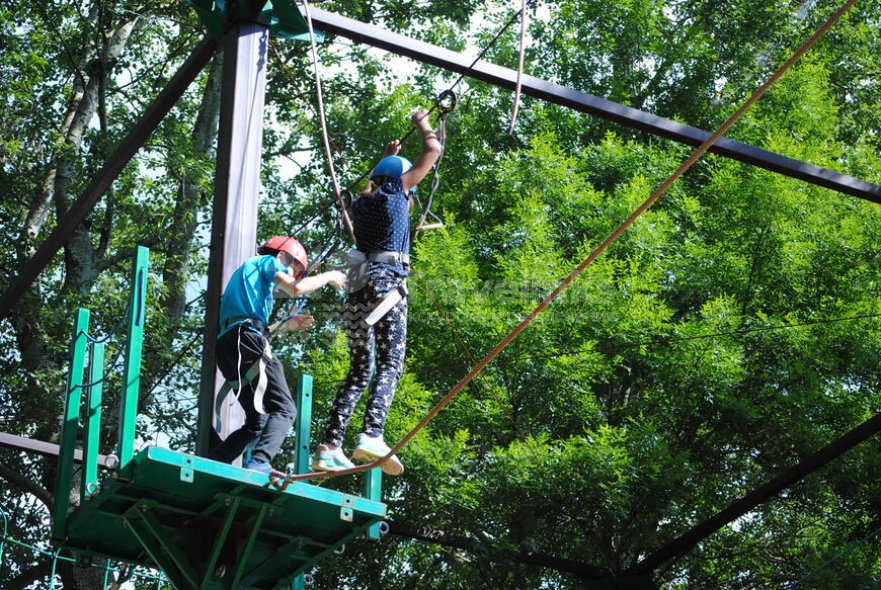 Галерея Храброе сердце #2