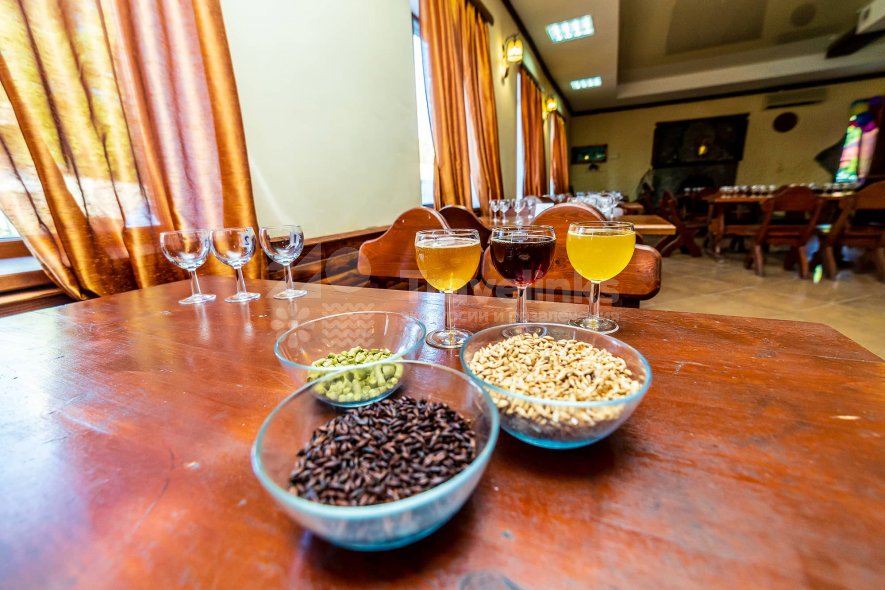 Галерея Экскурсия в «Возрождение» #1