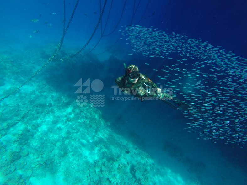 Галерея Подводная охота #2