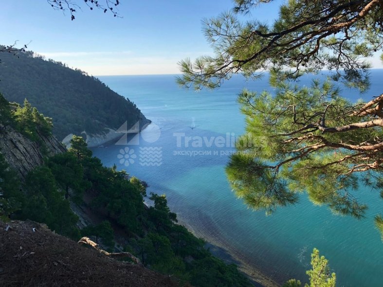 Галерея Джанхот #0