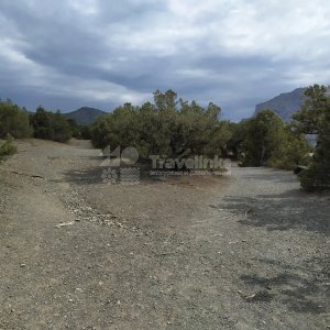 Галерея Можжевеловая роща Кабардинки #2