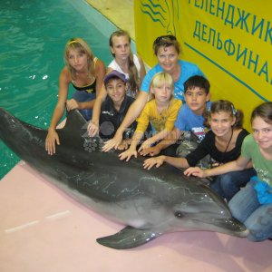 Галерея Геленжикский дельфинарий #2
