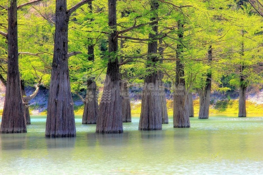 Галерея Сукко #6