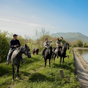 Прогулка на лошадях к озеру  (1 час)