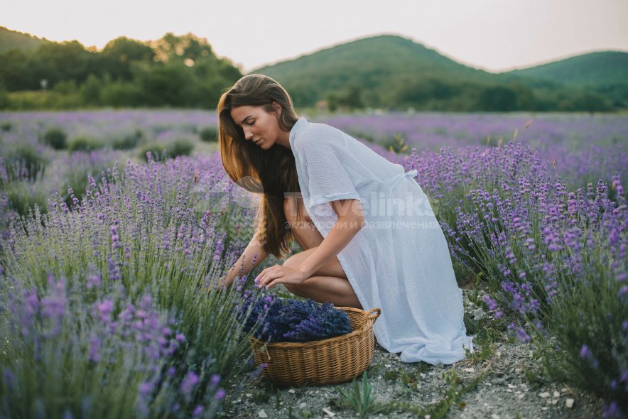 Галерея Фототур на лавандовые поля #3