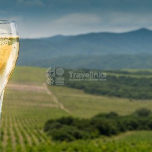 Галерея Авторская VIP-экскурсия в «Абрау-Дюрсо» #0