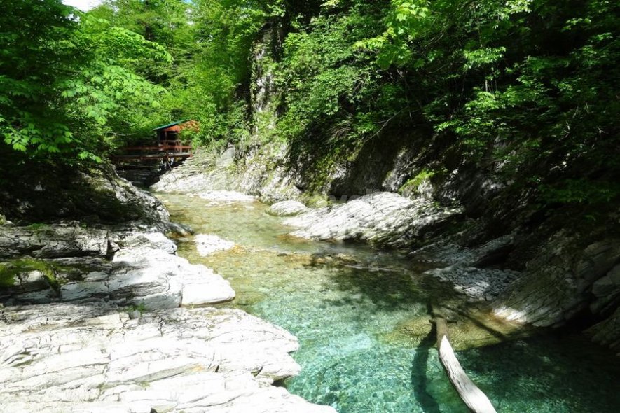 Галерея Шапсуга и Ромашковые бугры #1