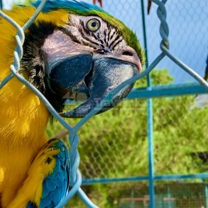 Галерея Сафари-парк Геленджик #5