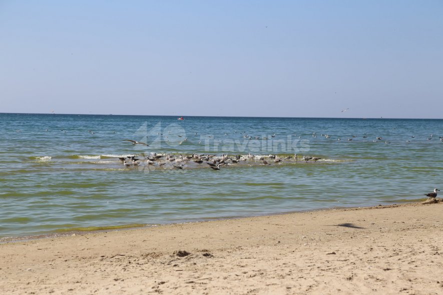 Галерея Родник #0